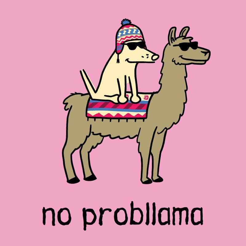 No Probllama  - Ladies T-Shirt V-Neck