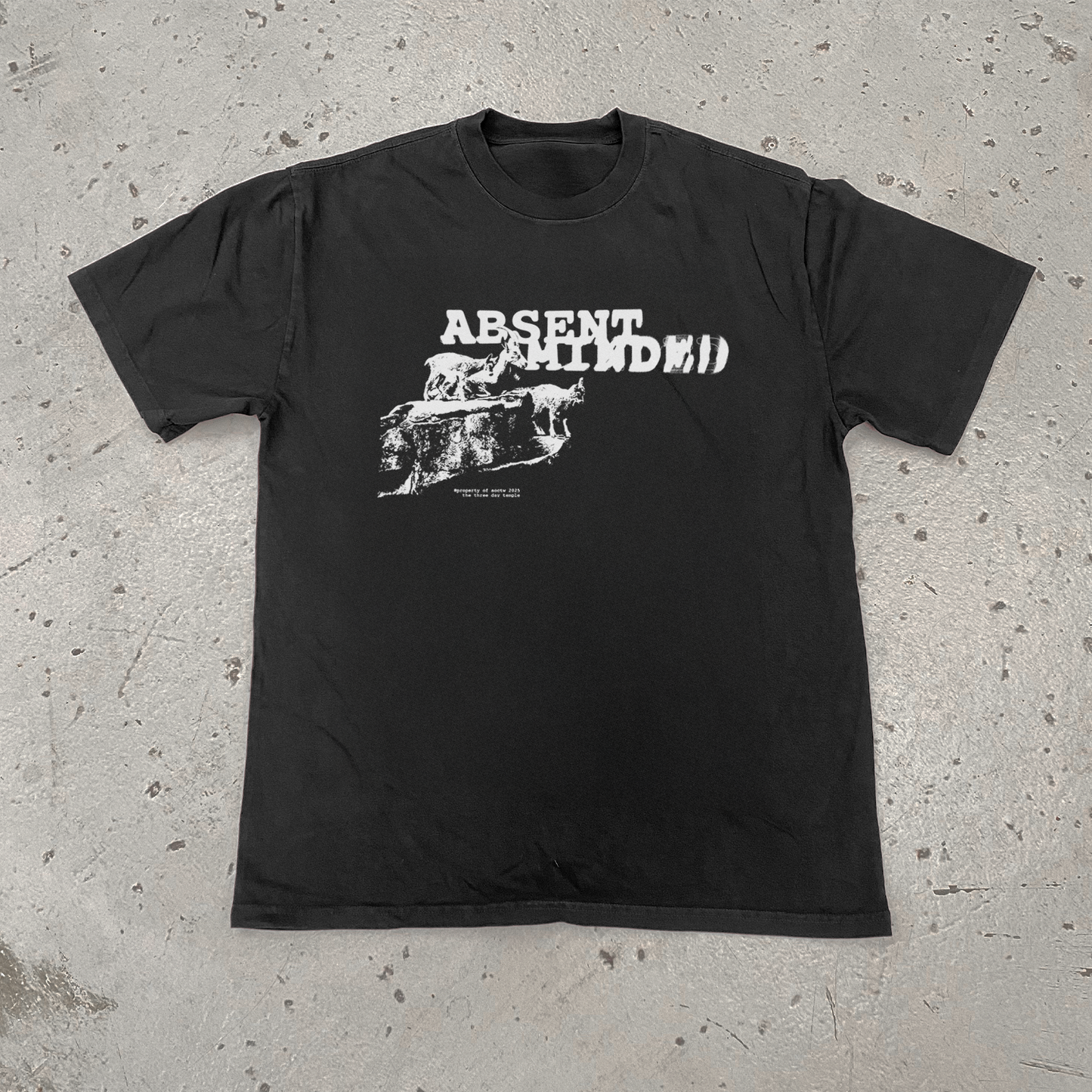 'ABSENT MINDED' HEAVYWEIGHT FADED TEE