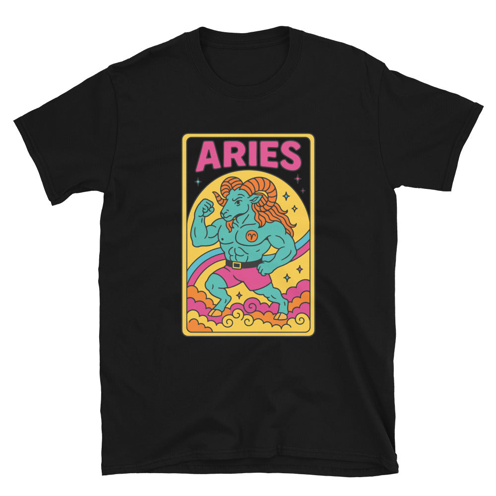 Aries Zodiac Sign T-Shirt