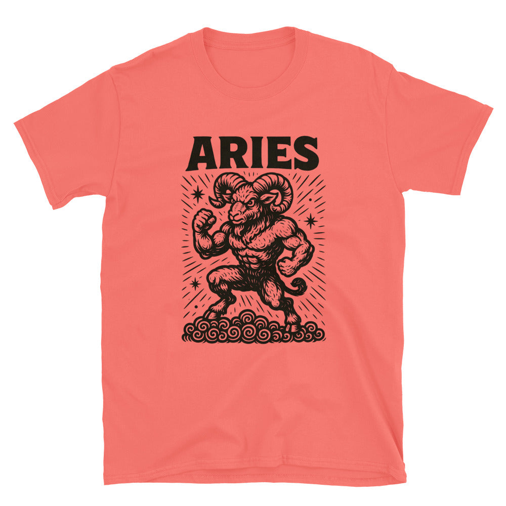 Aries Zodiac Sign T-Shirt Style001