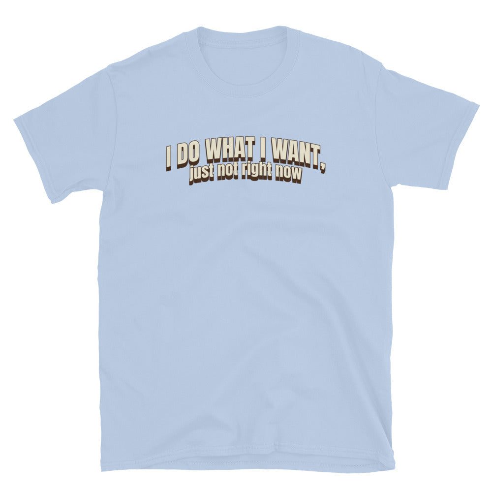 I Do What I Want, Just Not Right Now T-Shirt