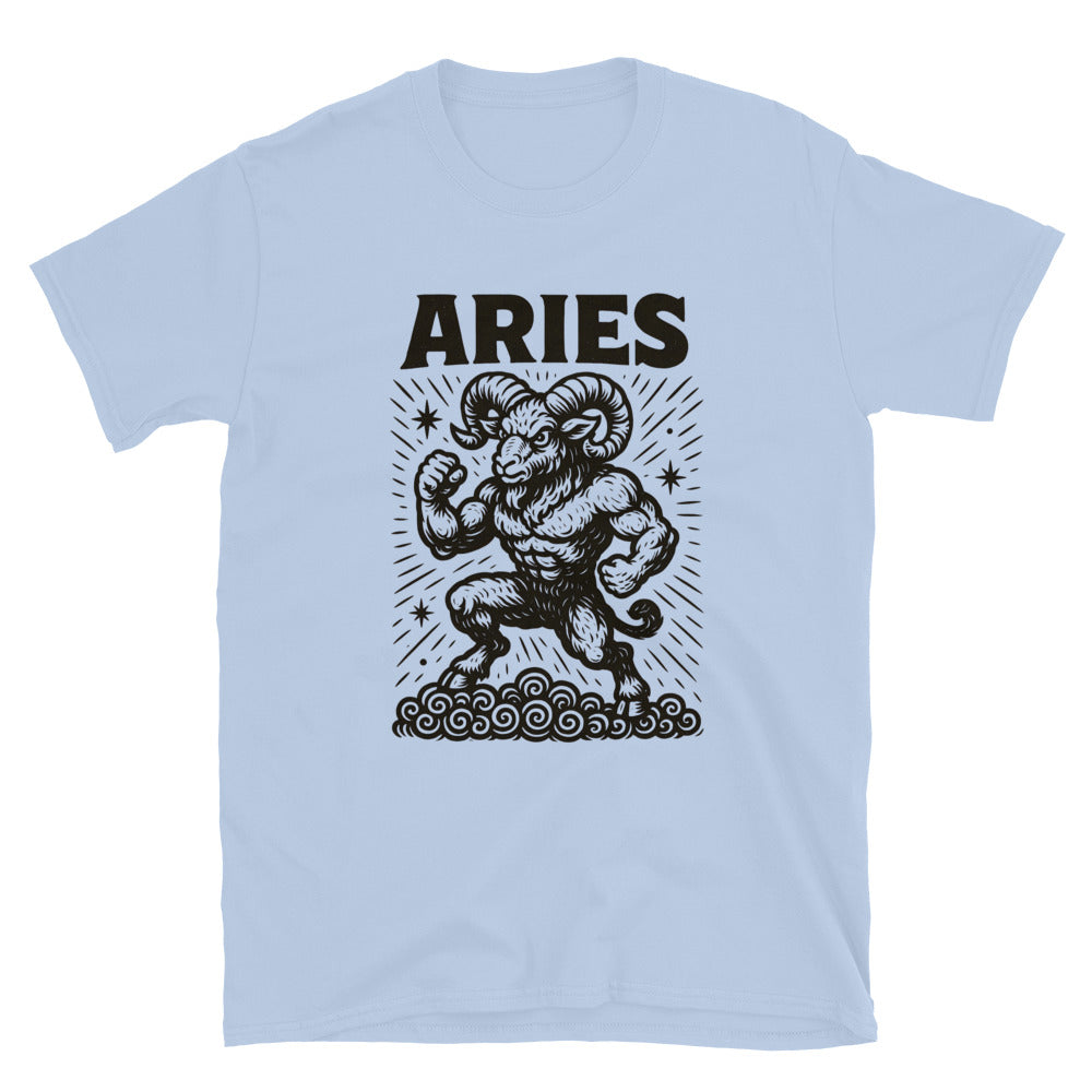 Aries Zodiac Sign T-Shirt Style001