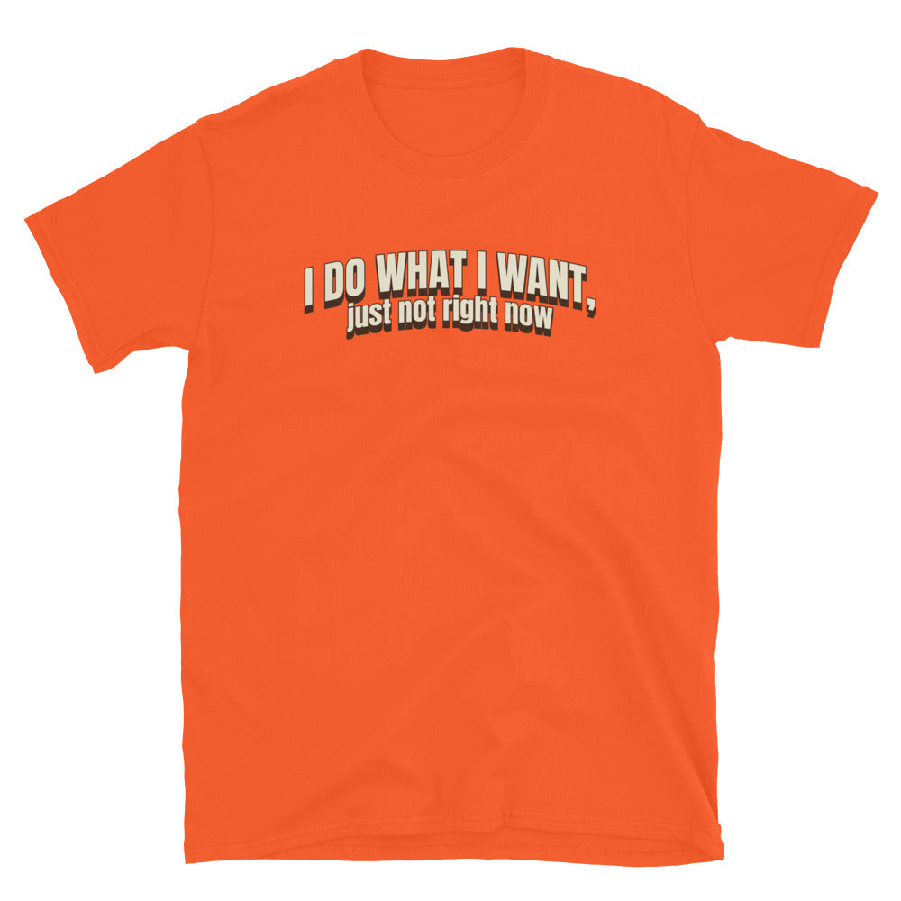 I Do What I Want, Just Not Right Now T-Shirt