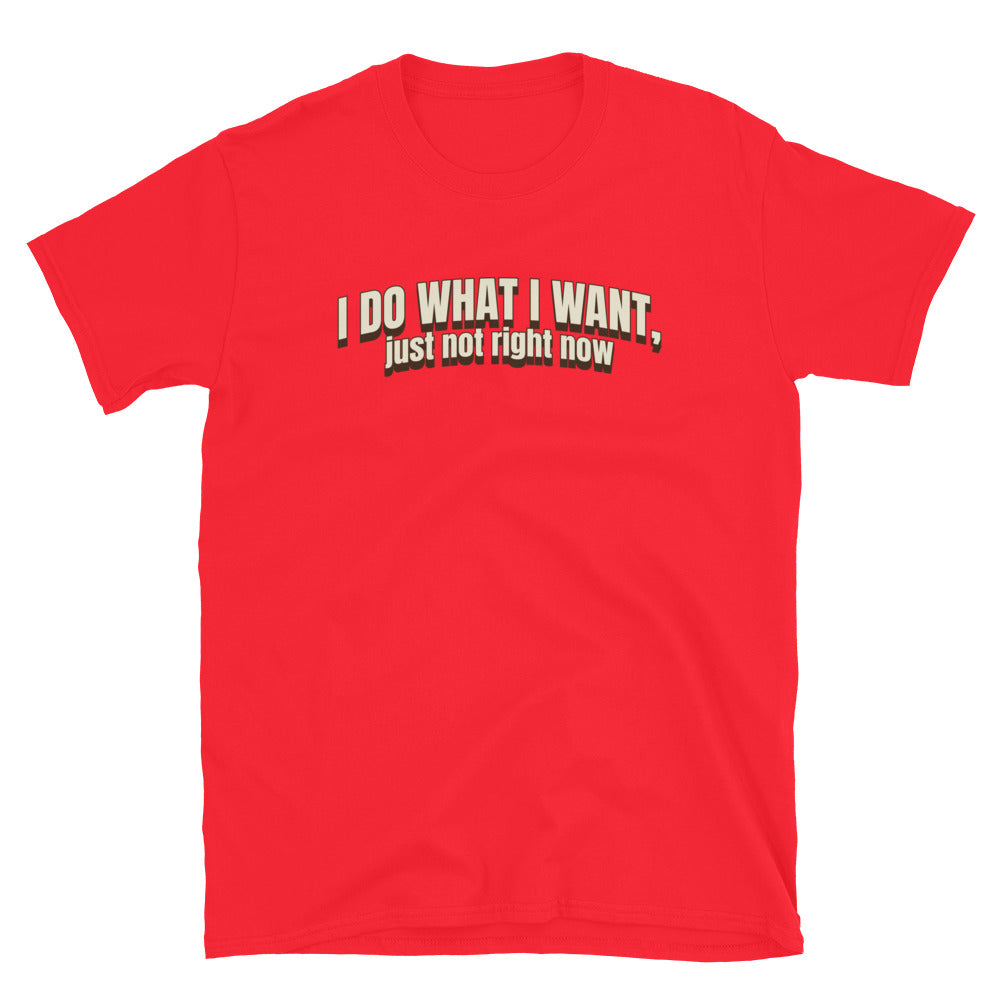 I Do What I Want, Just Not Right Now T-Shirt