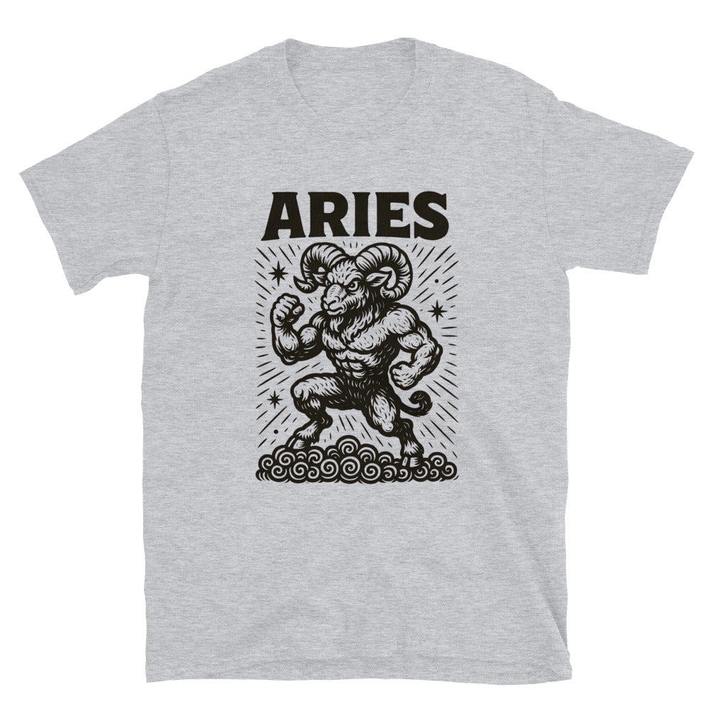 Aries Zodiac Sign T-Shirt Style001
