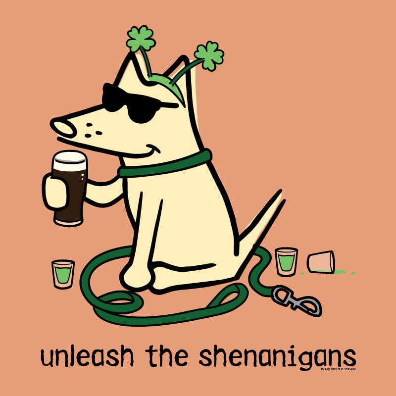 Unleash the Shenanigans - Ladies T-Shirt V-Neck
