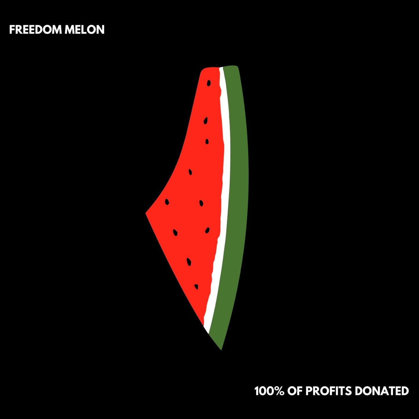 Youth Freedom Melon Hoodie